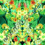 Colour:K