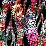 Colour:B