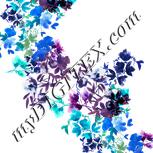 Colour:A