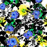 Colour:A