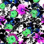 Colour:B