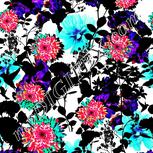 Colour:C