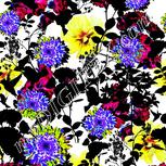 Colour:D