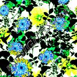 Colour:K