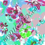 Colour:B