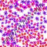 Colour:C