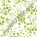 Colour:K