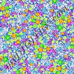 Colour:C