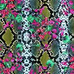 Colour:B