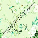 Colour:K