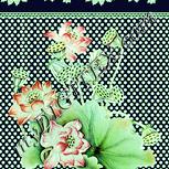 Colour:K