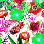 Colour:B
