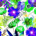 Colour:D