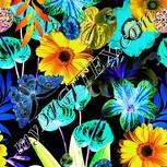 Colour:F