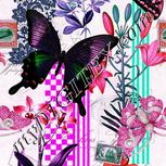 Colour:B