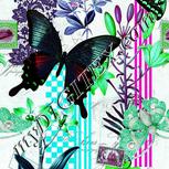 Colour:C
