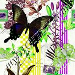 Colour:D