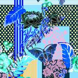 Colour:F