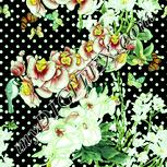 Colour:K