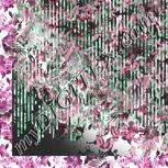 Colour:C