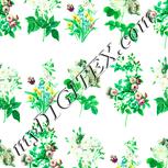 Colour:K