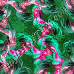Colour:B