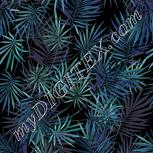 Colour:C