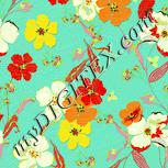Colour:K