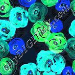 Colour:F