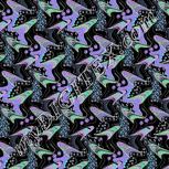 Colour:F