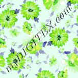 Colour:C
