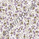 Colour:A