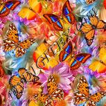 Colour:A