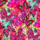 Colour:B