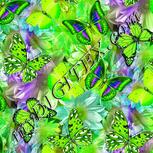 Colour:D