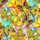 Colour:K