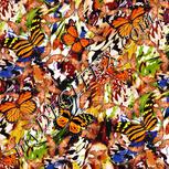 Colour:A