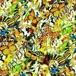 Colour:K