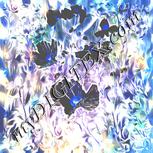 Colour:F
