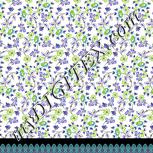 Colour:D