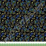 Colour:F