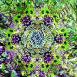 Colour:D