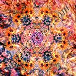 Colour:J