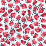 Colour:B