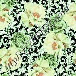 Colour:K