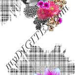 Colour:B