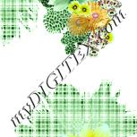 Colour:K