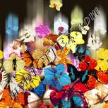 Colour:A