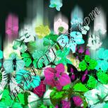 Colour:C