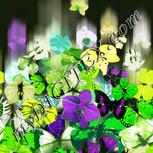 Colour:D